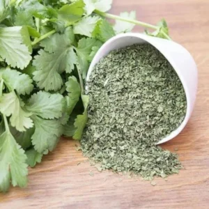 dried coriander leaves